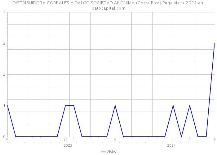 DISTRIBUIDORA CORRALES HIDALGO SOCIEDAD ANONIMA (Costa Rica) Page visits 2024 