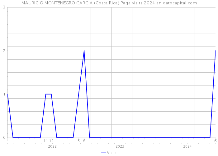 MAURICIO MONTENEGRO GARCIA (Costa Rica) Page visits 2024 