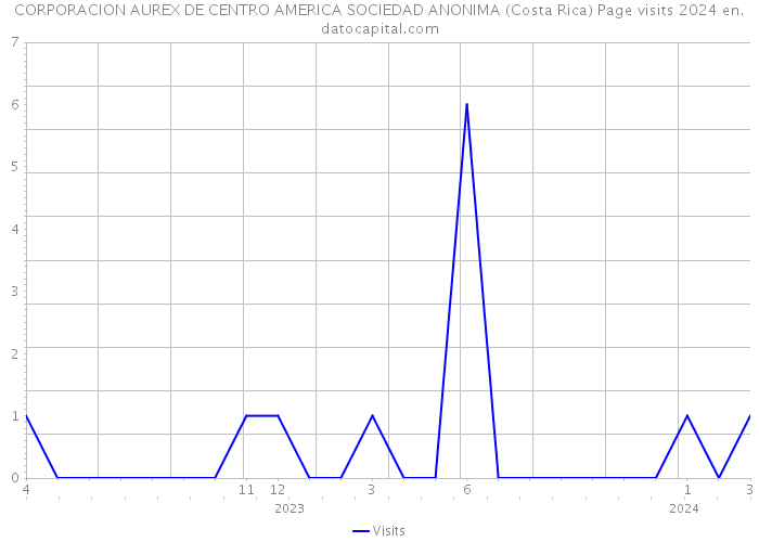 CORPORACION AUREX DE CENTRO AMERICA SOCIEDAD ANONIMA (Costa Rica) Page visits 2024 