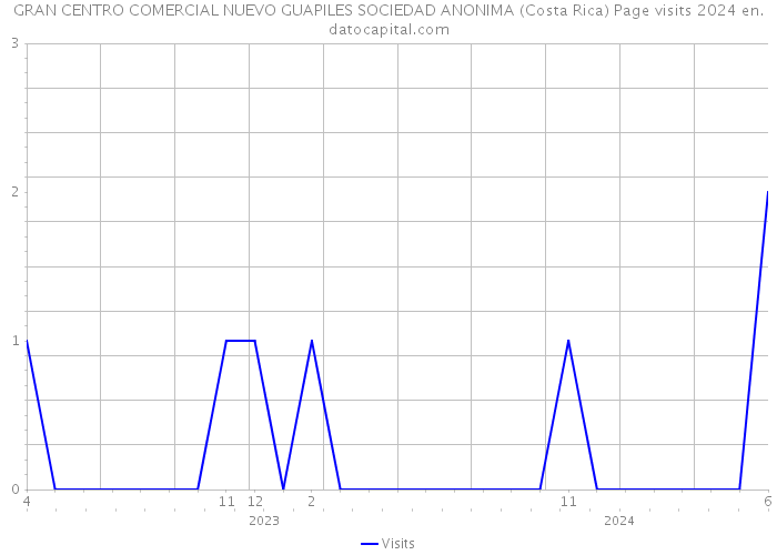 GRAN CENTRO COMERCIAL NUEVO GUAPILES SOCIEDAD ANONIMA (Costa Rica) Page visits 2024 
