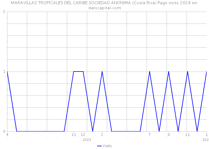 MARAVILLAS TROPICALES DEL CARIBE SOCIEDAD ANONIMA (Costa Rica) Page visits 2024 