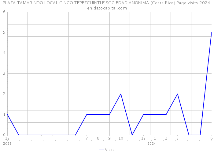 PLAZA TAMARINDO LOCAL CINCO TEPEZCUINTLE SOCIEDAD ANONIMA (Costa Rica) Page visits 2024 