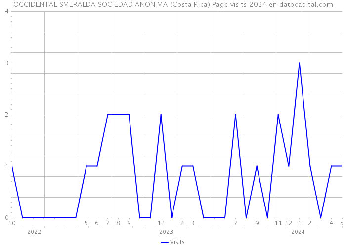 OCCIDENTAL SMERALDA SOCIEDAD ANONIMA (Costa Rica) Page visits 2024 