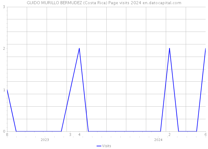 GUIDO MURILLO BERMUDEZ (Costa Rica) Page visits 2024 