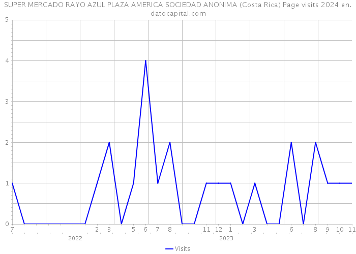 SUPER MERCADO RAYO AZUL PLAZA AMERICA SOCIEDAD ANONIMA (Costa Rica) Page visits 2024 