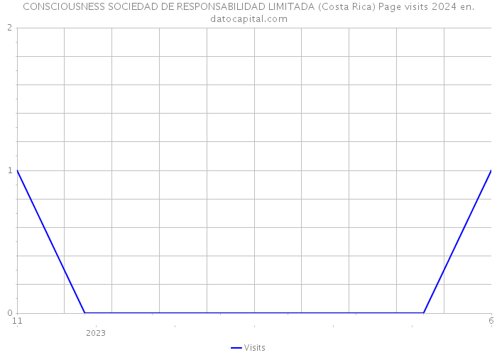 CONSCIOUSNESS SOCIEDAD DE RESPONSABILIDAD LIMITADA (Costa Rica) Page visits 2024 