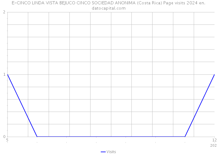 E-CINCO LINDA VISTA BEJUCO CINCO SOCIEDAD ANONIMA (Costa Rica) Page visits 2024 