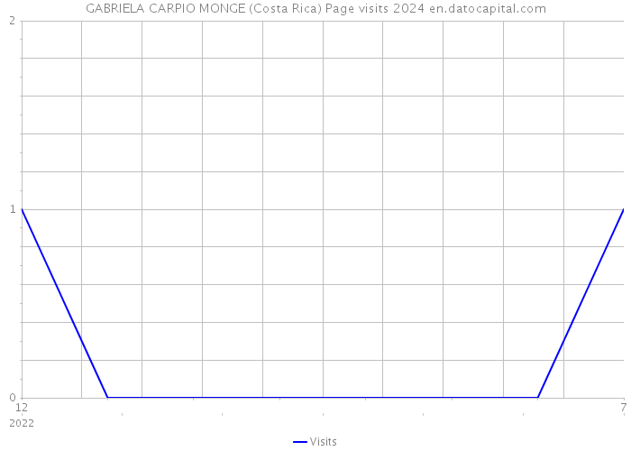 GABRIELA CARPIO MONGE (Costa Rica) Page visits 2024 