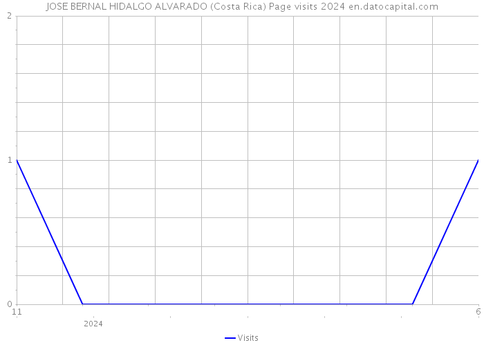 JOSE BERNAL HIDALGO ALVARADO (Costa Rica) Page visits 2024 