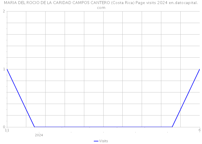 MARIA DEL ROCIO DE LA CARIDAD CAMPOS CANTERO (Costa Rica) Page visits 2024 