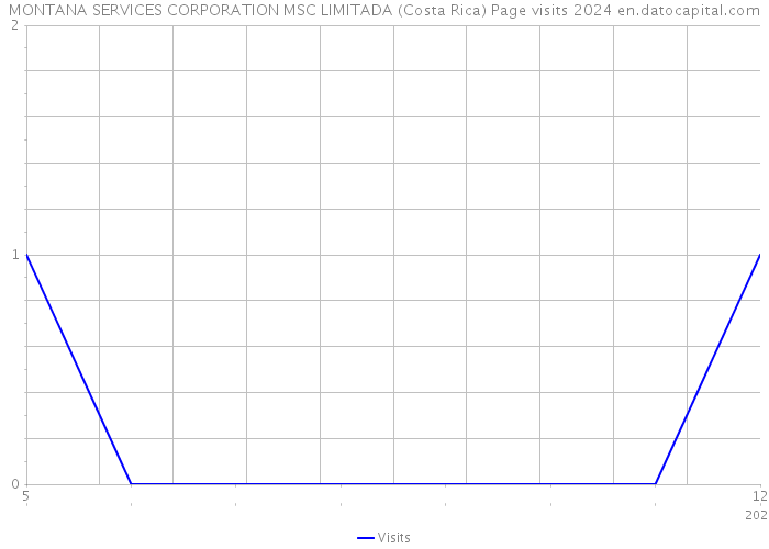 MONTANA SERVICES CORPORATION MSC LIMITADA (Costa Rica) Page visits 2024 