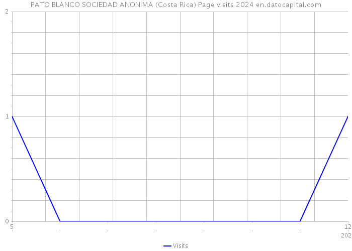 PATO BLANCO SOCIEDAD ANONIMA (Costa Rica) Page visits 2024 