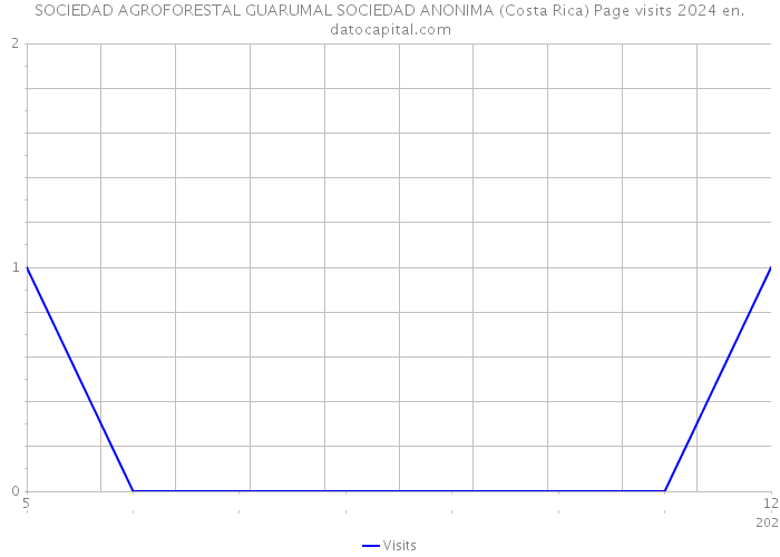 SOCIEDAD AGROFORESTAL GUARUMAL SOCIEDAD ANONIMA (Costa Rica) Page visits 2024 