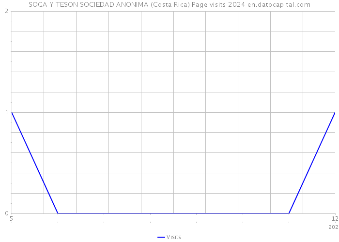 SOGA Y TESON SOCIEDAD ANONIMA (Costa Rica) Page visits 2024 