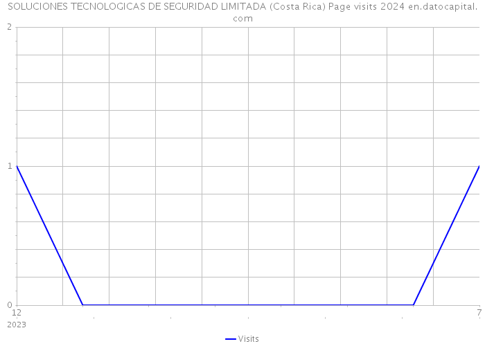 SOLUCIONES TECNOLOGICAS DE SEGURIDAD LIMITADA (Costa Rica) Page visits 2024 