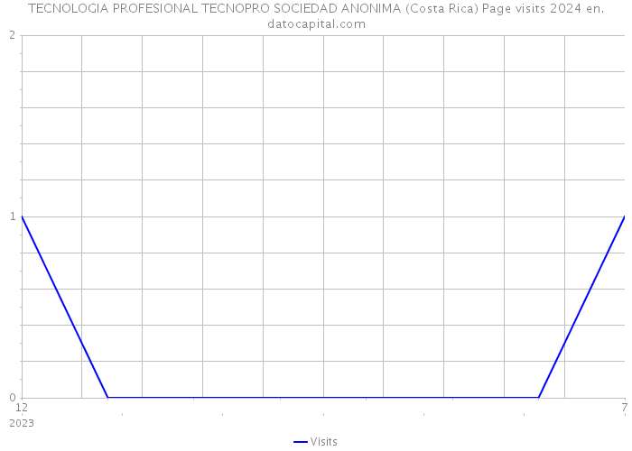 TECNOLOGIA PROFESIONAL TECNOPRO SOCIEDAD ANONIMA (Costa Rica) Page visits 2024 