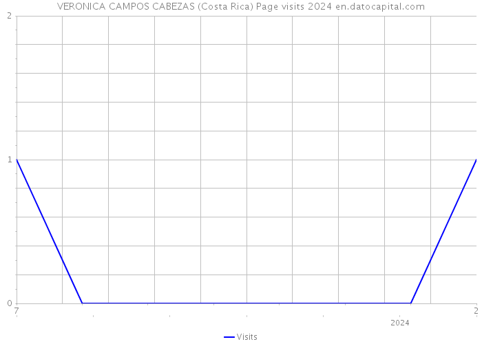 VERONICA CAMPOS CABEZAS (Costa Rica) Page visits 2024 