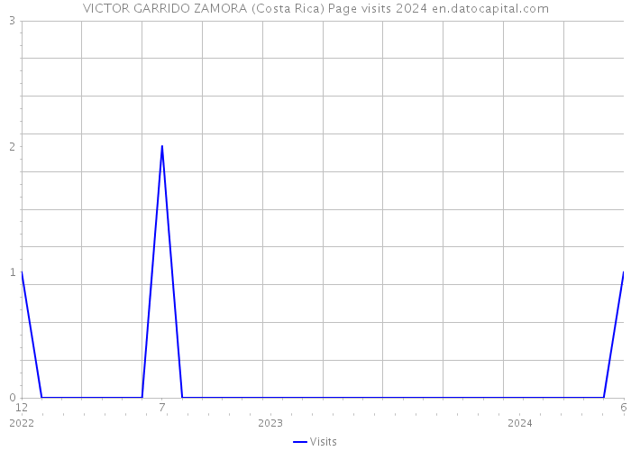 VICTOR GARRIDO ZAMORA (Costa Rica) Page visits 2024 