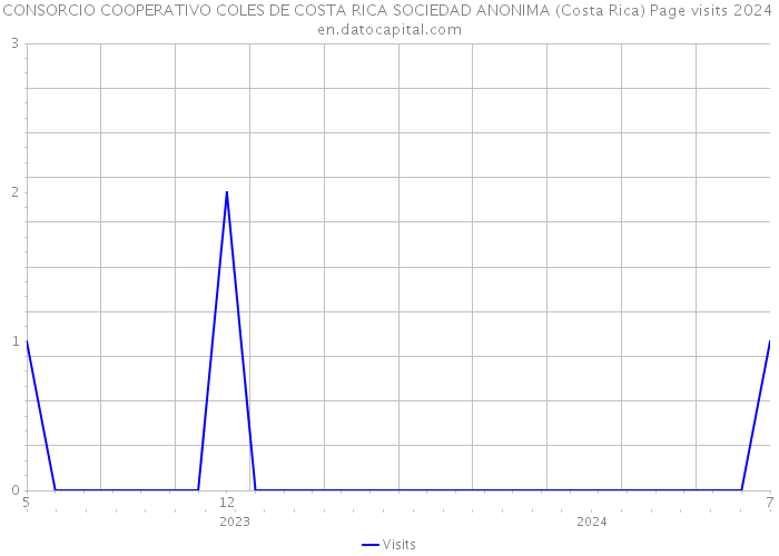 CONSORCIO COOPERATIVO COLES DE COSTA RICA SOCIEDAD ANONIMA (Costa Rica) Page visits 2024 