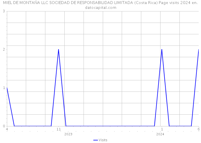 MIEL DE MONTAŃA LLC SOCIEDAD DE RESPONSABILIDAD LIMITADA (Costa Rica) Page visits 2024 