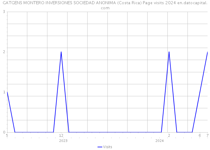 GATGENS MONTERO INVERSIONES SOCIEDAD ANONIMA (Costa Rica) Page visits 2024 