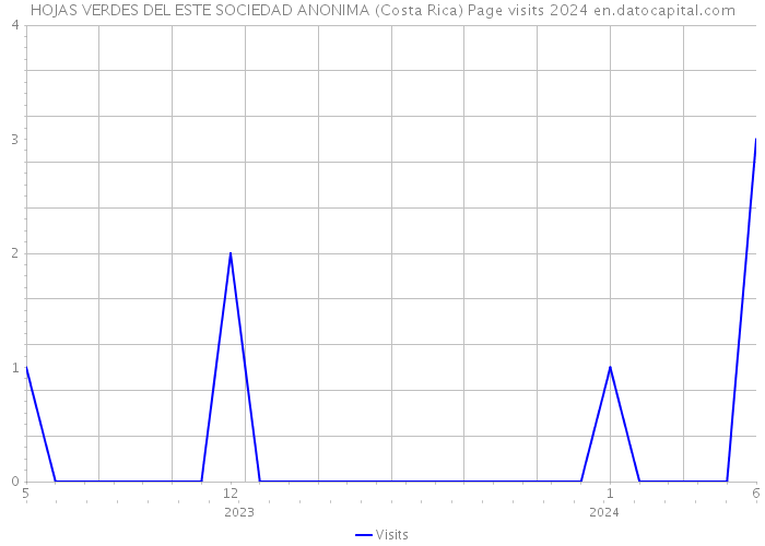 HOJAS VERDES DEL ESTE SOCIEDAD ANONIMA (Costa Rica) Page visits 2024 
