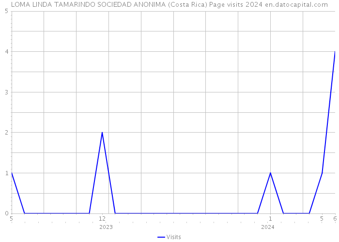 LOMA LINDA TAMARINDO SOCIEDAD ANONIMA (Costa Rica) Page visits 2024 
