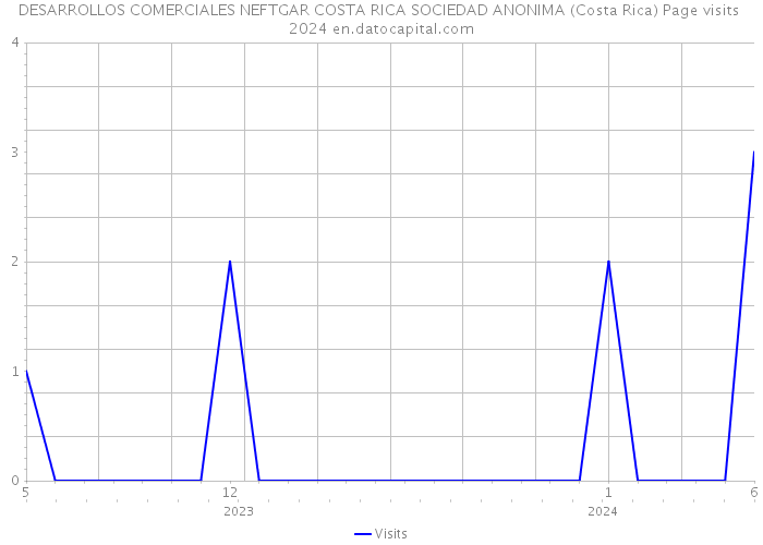 DESARROLLOS COMERCIALES NEFTGAR COSTA RICA SOCIEDAD ANONIMA (Costa Rica) Page visits 2024 