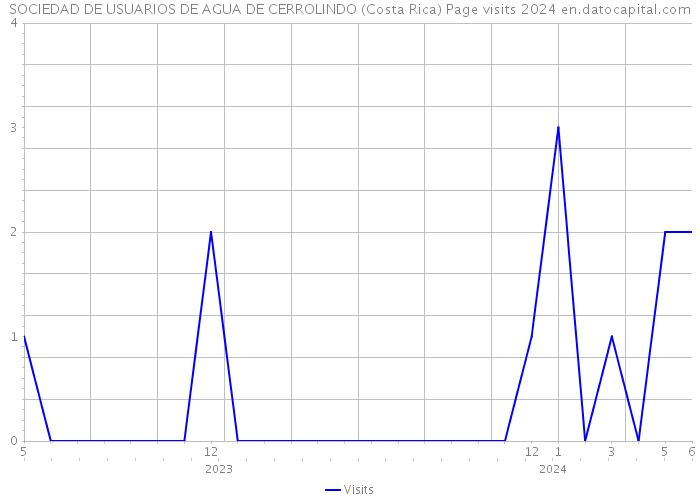 SOCIEDAD DE USUARIOS DE AGUA DE CERROLINDO (Costa Rica) Page visits 2024 