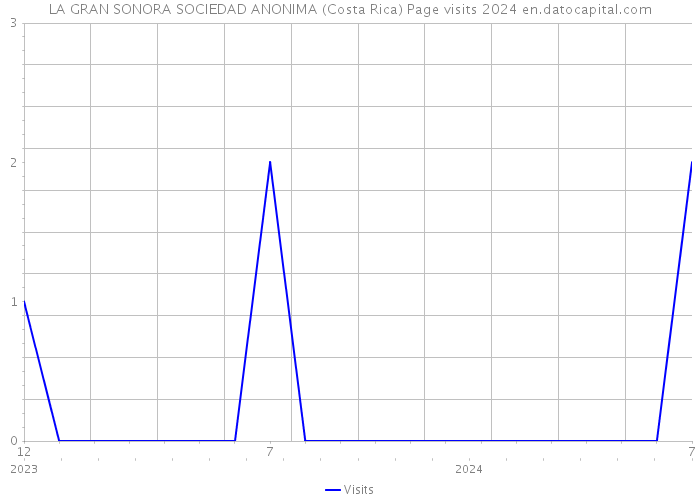 LA GRAN SONORA SOCIEDAD ANONIMA (Costa Rica) Page visits 2024 