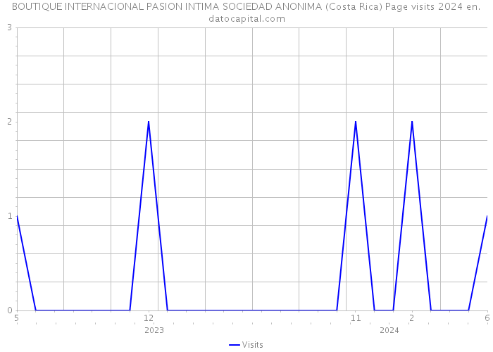 BOUTIQUE INTERNACIONAL PASION INTIMA SOCIEDAD ANONIMA (Costa Rica) Page visits 2024 