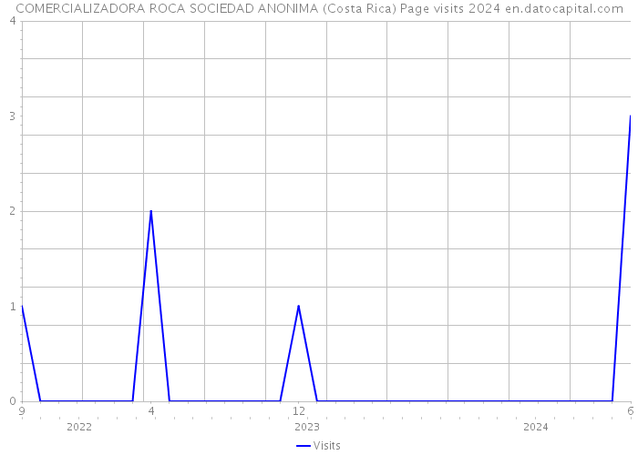 COMERCIALIZADORA ROCA SOCIEDAD ANONIMA (Costa Rica) Page visits 2024 