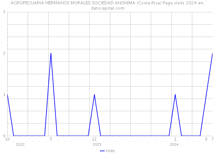 AGROPECUARIA HERMANOS MORALES SOCIEDAD ANONIMA (Costa Rica) Page visits 2024 