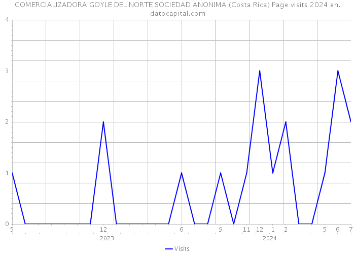 COMERCIALIZADORA GOYLE DEL NORTE SOCIEDAD ANONIMA (Costa Rica) Page visits 2024 