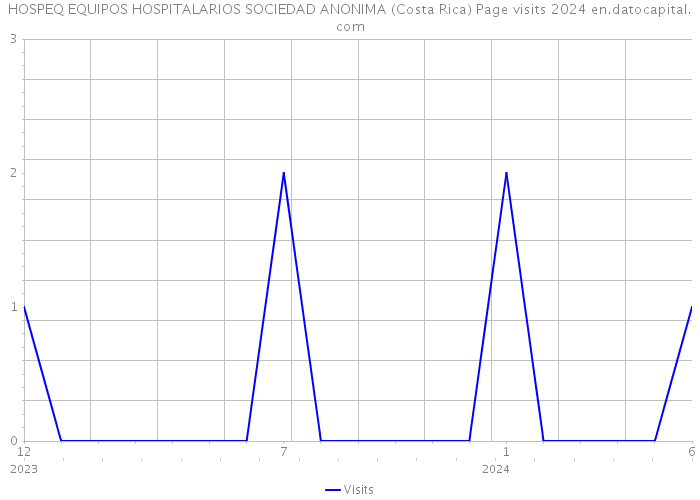 HOSPEQ EQUIPOS HOSPITALARIOS SOCIEDAD ANONIMA (Costa Rica) Page visits 2024 