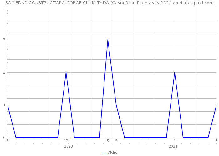 SOCIEDAD CONSTRUCTORA COROBICI LIMITADA (Costa Rica) Page visits 2024 