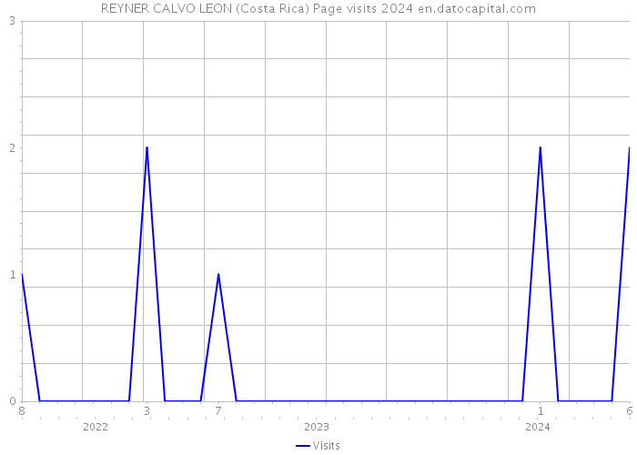REYNER CALVO LEON (Costa Rica) Page visits 2024 