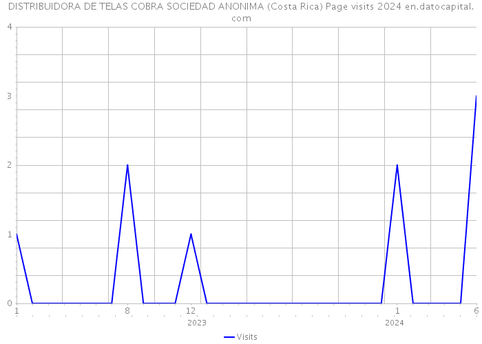 DISTRIBUIDORA DE TELAS COBRA SOCIEDAD ANONIMA (Costa Rica) Page visits 2024 