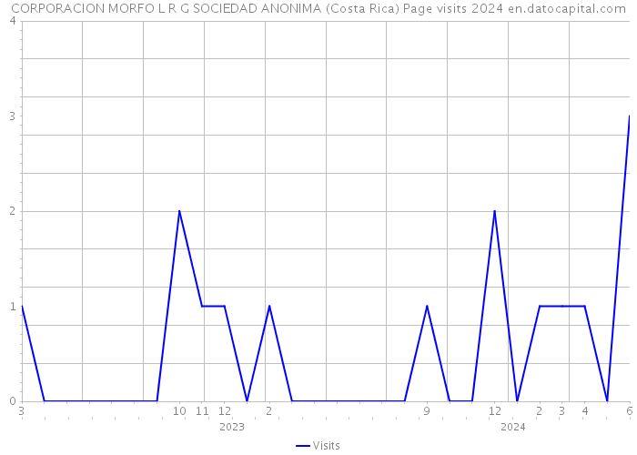 CORPORACION MORFO L R G SOCIEDAD ANONIMA (Costa Rica) Page visits 2024 