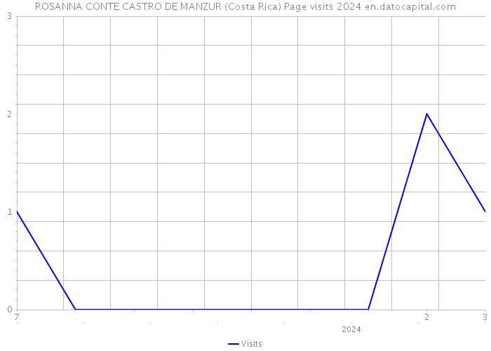 ROSANNA CONTE CASTRO DE MANZUR (Costa Rica) Page visits 2024 