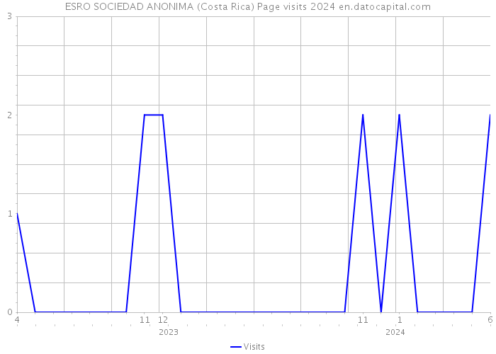 ESRO SOCIEDAD ANONIMA (Costa Rica) Page visits 2024 