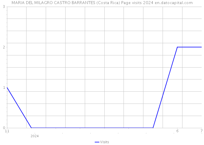 MARIA DEL MILAGRO CASTRO BARRANTES (Costa Rica) Page visits 2024 