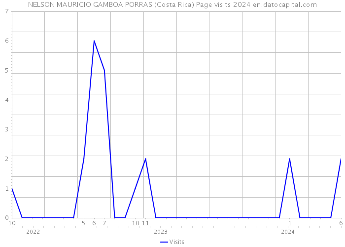 NELSON MAURICIO GAMBOA PORRAS (Costa Rica) Page visits 2024 
