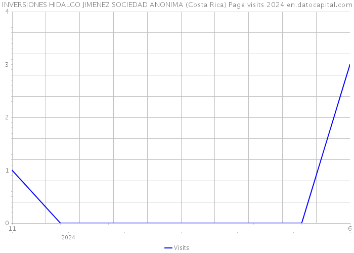 INVERSIONES HIDALGO JIMENEZ SOCIEDAD ANONIMA (Costa Rica) Page visits 2024 
