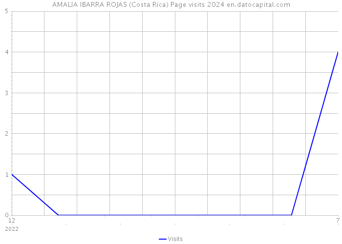 AMALIA IBARRA ROJAS (Costa Rica) Page visits 2024 