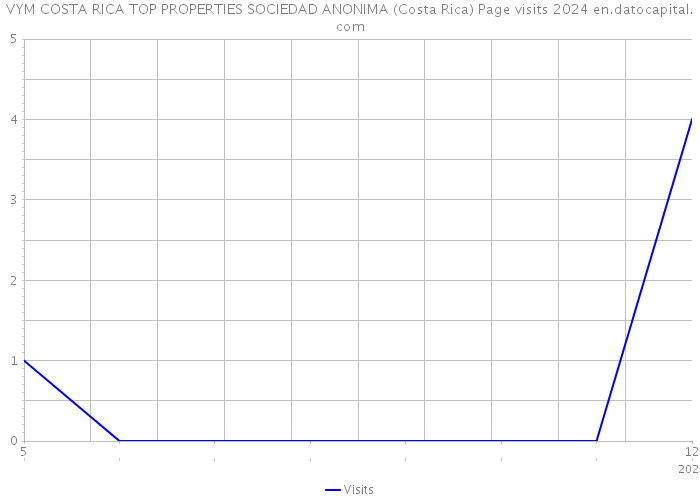 VYM COSTA RICA TOP PROPERTIES SOCIEDAD ANONIMA (Costa Rica) Page visits 2024 