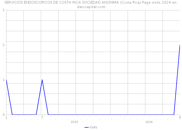 SERVICIOS ENDOSCOPICOS DE COSTA RICA SOCIEDAD ANONIMA (Costa Rica) Page visits 2024 