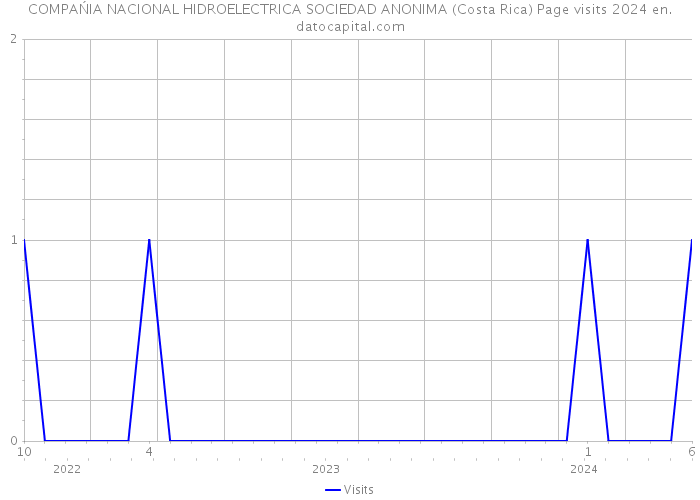 COMPAŃIA NACIONAL HIDROELECTRICA SOCIEDAD ANONIMA (Costa Rica) Page visits 2024 