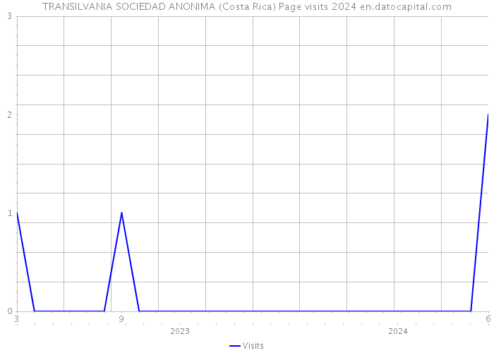 TRANSILVANIA SOCIEDAD ANONIMA (Costa Rica) Page visits 2024 