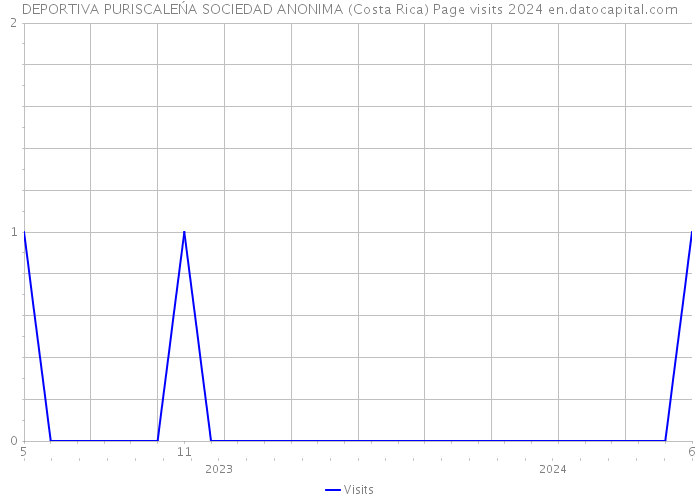 DEPORTIVA PURISCALEŃA SOCIEDAD ANONIMA (Costa Rica) Page visits 2024 